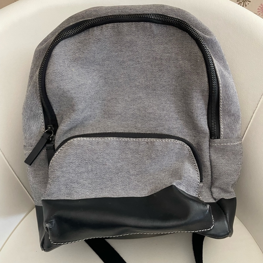Grey everlane coated backpack